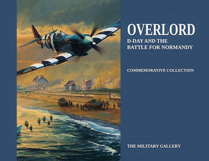 Military Aviation Art Book DDay Normandy WW2 Robert Taylor Spitfire RAF A20 Aviation Art Book Cover