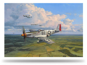 Robert Taylor American Eagles Signed Limited Edition Art Print P51 Mustang A20 Aviation Art full print